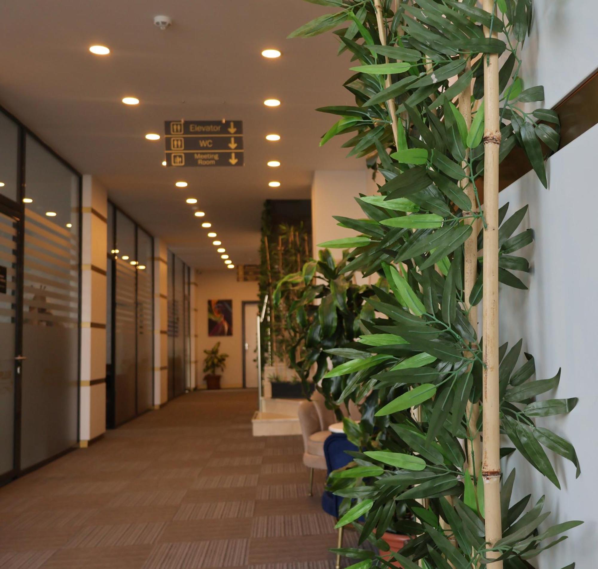 איסטמבול Home Plus Hotel מראה חיצוני תמונה